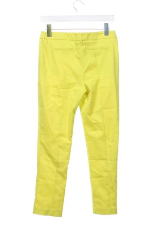 Damenhose Dunnes, Größe S, Farbe Grün, Preis 20,92 €