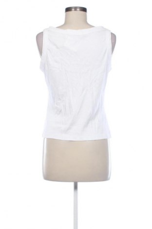 Damentop Dorothy Perkins, Größe XL, Farbe Weiß, Preis € 10,24