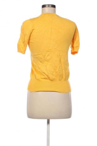 Damenpullover Zara, Größe S, Farbe Gelb, Preis 12,99 €