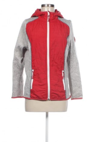 Damen Sweatshirt Collection L, Größe M, Farbe Mehrfarbig, Preis 6,99 €