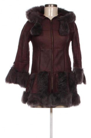 Γυναικείο δερμάτινο μπουφάν Unbranded, Μέγεθος XS, Χρώμα Καφέ, Τιμή 54,22 €