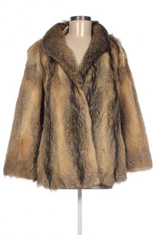 Dámsky kabát  Unbranded, Veľkosť L, Farba Viacfarebná, Cena  83,15 €