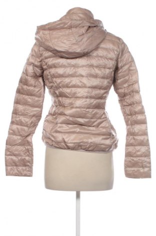 Damenjacke Comma,, Größe S, Farbe Aschrosa, Preis € 29,99