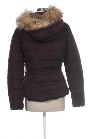 Damenjacke H&M, Größe S, Farbe Rot, Preis 36,99 €