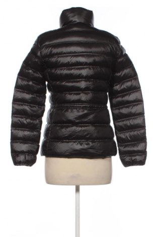 Damenjacke Massimo Dutti, Größe S, Farbe Schwarz, Preis 59,28 €