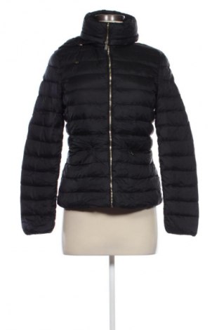 Damenjacke Massimo Dutti, Größe M, Farbe Schwarz, Preis 60,99 €