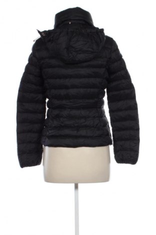 Damenjacke Massimo Dutti, Größe M, Farbe Schwarz, Preis 60,99 €