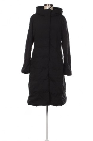 Dámska bunda  Uniqlo, Veľkosť L, Farba Modrá, Cena  48,95 €