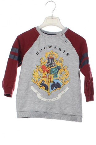 Bluză pentru copii Harry Potter, Mărime 2-3y/ 98-104 cm, Culoare Multicolor, Preț 39,99 Lei