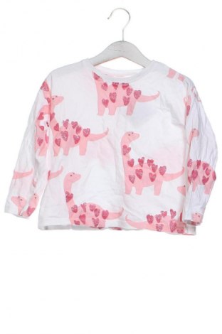 Kinder Shirt Zara, Größe 2-3y/ 98-104 cm, Farbe Mehrfarbig, Preis € 7,16