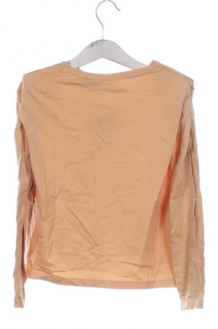 Kinder Shirt Zara, Größe 6-7y/ 122-128 cm, Farbe Mehrfarbig, Preis € 5,99