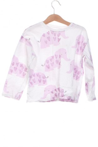 Kinder Shirt Zara, Größe 5-6y/ 116-122 cm, Farbe Mehrfarbig, Preis 5,99 €