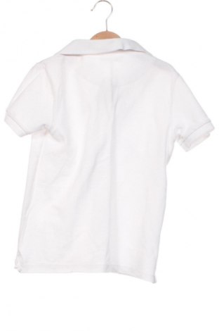 Kinder Shirt Zara, Größe 7-8y/ 128-134 cm, Farbe Weiß, Preis 5,99 €