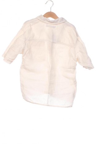 Kinder Shirt Zara, Größe 8-9y/ 134-140 cm, Farbe Ecru, Preis 10,23 €