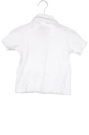 Tricou pentru copii Unbranded, Mărime 3-4y/ 104-110 cm, Culoare Alb, Preț 20,99 Lei