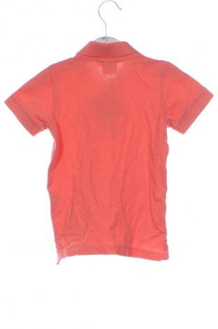Tricou pentru copii Unbranded, Mărime 2-3y/ 98-104 cm, Culoare Portocaliu, Preț 26,33 Lei