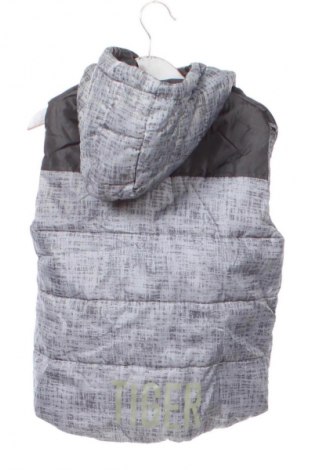 Detská vesta  Lupilu, Veľkosť 4-5y/ 110-116 cm, Farba Viacfarebná, Cena  9,95 €