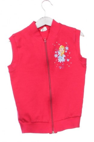 Vestă pentru copii Unbranded, Mărime 5-6y/ 116-122 cm, Culoare Roșu, Preț 47,39 Lei