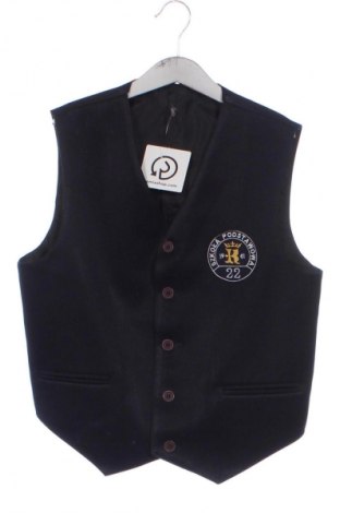 Vestă pentru copii Unbranded, Mărime 10-11y/ 146-152 cm, Culoare Albastru, Preț 54,95 Lei