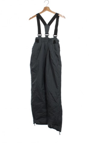 Salopetă pentru copii pentru sporturi de iarnă TCM, Mărime 10-11y/ 146-152 cm, Culoare Gri, Preț 111,99 Lei
