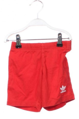 Kinder Shorts Adidas, Größe 18-24m/ 86-98 cm, Farbe Rot, Preis € 13,81
