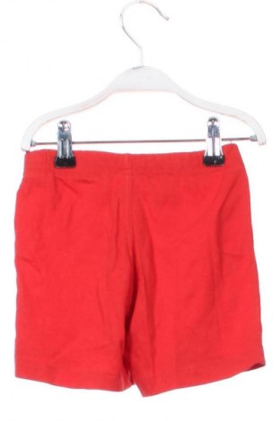 Kinder Shorts Adidas, Größe 18-24m/ 86-98 cm, Farbe Rot, Preis € 13,81