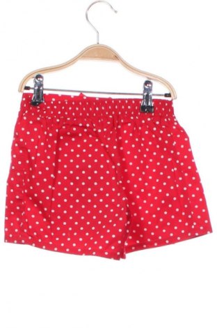 Παιδικό κοντό παντελόνι LC Waikiki, Μέγεθος 3-4y/ 104-110 εκ., Χρώμα Πολύχρωμο, Τιμή 11,86 €