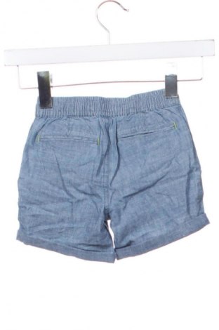 Dětské krátké kalhoty  Mini Boden, Velikost 2-3y/ 98-104 cm, Barva Modrá, Cena  309,00 Kč
