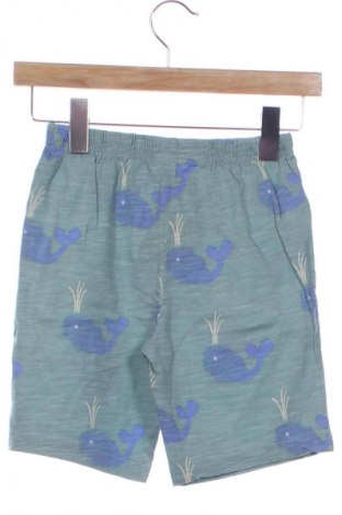 Pantaloni scurți pentru copii Next, Mărime 6-7y/ 122-128 cm, Culoare Multicolor, Preț 38,99 Lei