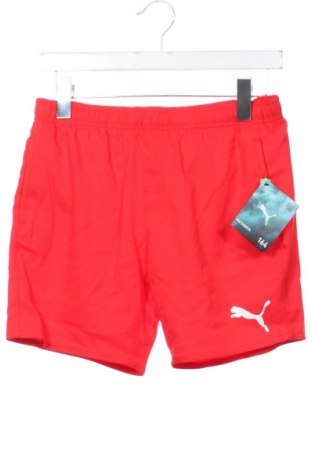 Gyerek rövidnadrág PUMA, Méret 12-13y / 158-164 cm, Szín Piros, Ár 13 489 Ft