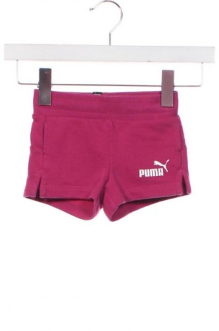 Gyerek rövidnadrág PUMA, Méret 18-24m / 86-98 cm, Szín Rózsaszín, Ár 5 400 Ft