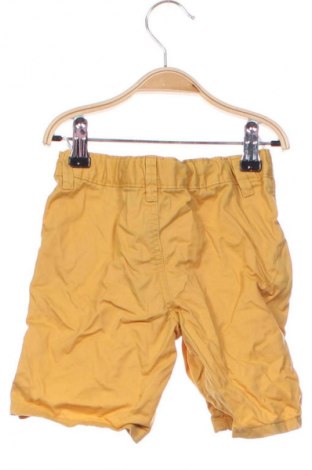 Gyerek rövidnadrág Palomino, Méret 3-4y / 104-110 cm, Szín Narancssárga
, Ár 2 800 Ft