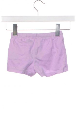 Detské krátke nohavice  Peppa Pig, Veľkosť 18-24m/ 86-98 cm, Farba Fialová, Cena  7,16 €