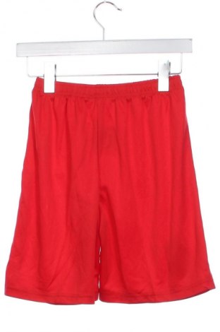 Kinder Shorts Unbranded, Größe 13-14y/ 164-168 cm, Farbe Rot, Preis € 16,99