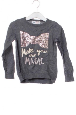 Pulover pentru copii H&M, Mărime 2-3y/ 98-104 cm, Culoare Gri, Preț 17,99 Lei