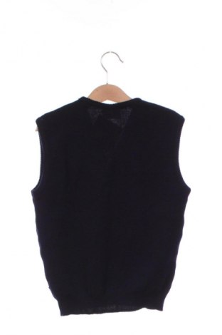 Pulover pentru copii Unbranded, Mărime 8-9y/ 134-140 cm, Culoare Albastru, Preț 29,99 Lei