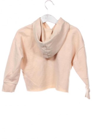 Hanorac pentru copii Well Worn, Mărime 2-3y/ 98-104 cm, Culoare Bej, Preț 57,89 Lei