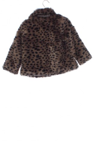 Gyerek kabát Zara, Méret 2-3y / 98-104 cm, Szín Sokszínű, Ár 5 400 Ft