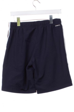 Detské tepláky Nike, Veľkosť 15-18y/ 170-176 cm, Farba Modrá, Cena  22,95 €