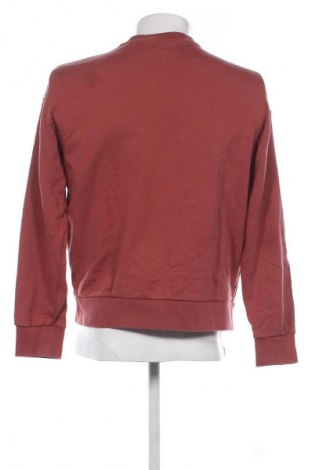 Herren Shirt Calvin Klein, Größe S, Farbe Rot, Preis € 82,99
