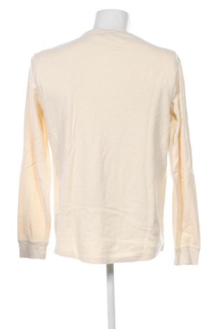 Herren Shirt Scotch & Soda, Größe XL, Farbe Ecru, Preis € 31,71