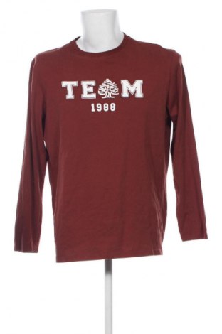 Herren Shirt Springfield, Größe XL, Farbe Braun, Preis € 13,81