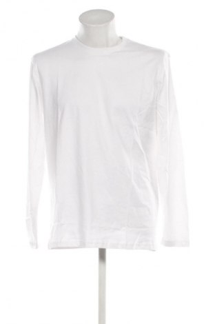 Herren Shirt Unbranded, Größe L, Farbe Weiß, Preis € 21,99