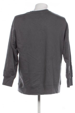 Herren Shirt Zara, Größe M, Farbe Grau, Preis 4,99 €