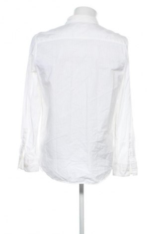 Herrenhemd Calvin Klein, Größe M, Farbe Mehrfarbig, Preis 24,99 €