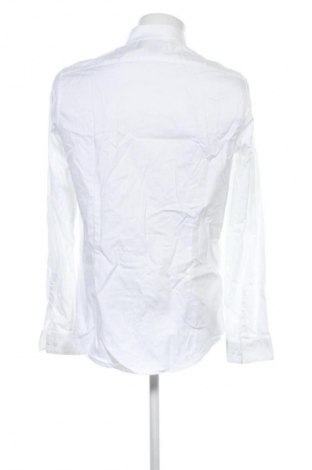 Męska koszula Calvin Klein, Rozmiar L, Kolor Biały, Cena 492,99 zł