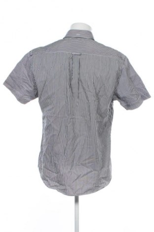 Herrenhemd Mc Gregor, Größe L, Farbe Mehrfarbig, Preis 17,99 €
