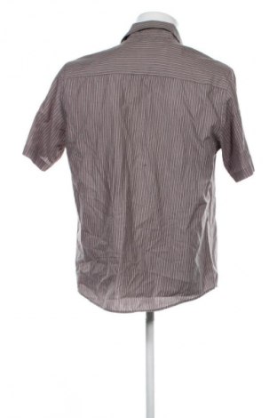 Cămașă de bărbați Pierre Cardin, Mărime L, Culoare Multicolor, Preț 101,99 Lei