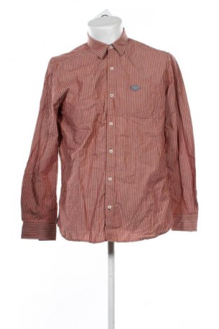 Herrenhemd S.Oliver, Größe L, Farbe Mehrfarbig, Preis 11,99 €