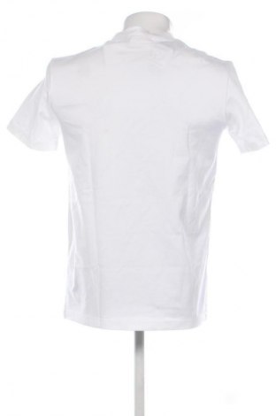 Herren T-Shirt Calvin Klein Jeans, Größe S, Farbe Weiß, Preis € 44,99